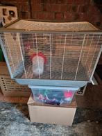 Knaagdierenkooi, Enlèvement, Utilisé, Cage