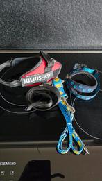 Bandjes voor kleine hond, Ophalen of Verzenden, Zo goed als nieuw