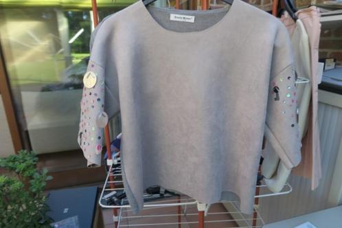 Sweatshirt grijs nieuw strass korte mouw Beauty woman mt L/X, Kleding | Dames, Truien en Vesten, Nieuw, Maat 42/44 (L), Grijs