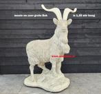 Bok  en varken - zeug, Tuin en Terras, Ophalen, Zo goed als nieuw, Beton, Dierenbeeld