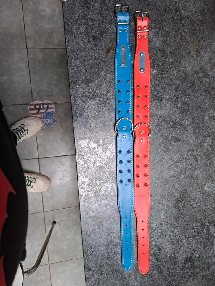 Collier pour chien, Animaux & Accessoires, Accessoires pour chiens, Enlèvement ou Envoi