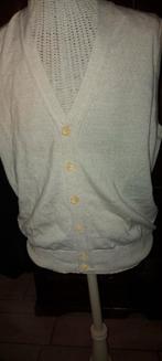 Nieuwe mouwloos vestje / gilet .heren maat medium tot large, Ophalen of Verzenden, Nieuw