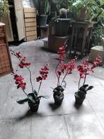 Kerstversiering: 3 kunstplant Orchideeën, Ophalen of Verzenden, Gebruikt