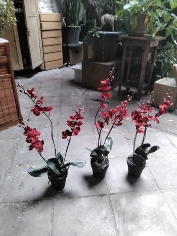 Kerstversiering: 3 kunstplant Orchideeën  beschikbaar voor biedingen