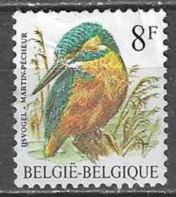Belgie 1986 - Yvert 2237 /OBP 2240 - Buzin - IJsvogel (ST) beschikbaar voor biedingen