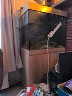 Aquarium juwel rio  200l marin, Animaux & Accessoires, Poissons | Aquariums & Accessoires, Enlèvement