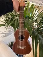 Korala ukc 210 concert, Muziek en Instrumenten, Ophalen, Nieuw