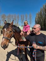 Zoek een nieuw huisje, Dieren en Toebehoren, Paarden
