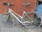 Olympia fiets, Fietsen en Brommers, Ophalen, Gebruikt