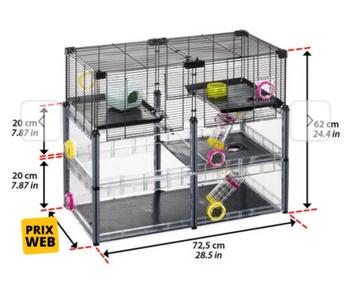 MOOIE HAMSTERKOOI  beschikbaar voor biedingen