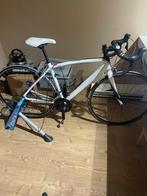 Koersfiets, Ophalen, Gebruikt, Overige merken