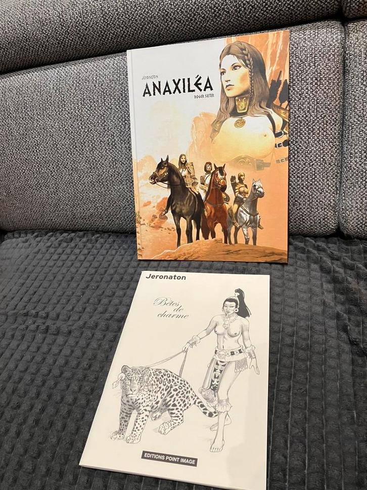 BD Anaxiléa + triptique + certificat + gîtes de charme, Livres, BD, Neuf, Enlèvement ou Envoi