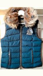 Hv Polo bodywarmer, Vêtements | Femmes, Blousons sans Manches, Comme neuf, Enlèvement, Taille 34 (XS) ou plus petite, Hv polo