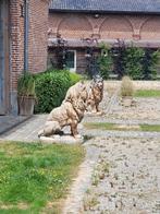 Leeuwen 2x, Ophalen, Zo goed als nieuw