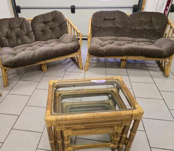 Ensemble Salon en rotin 5 places ( 6 pièces), Enlèvement, Utilisé