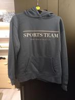 Truien/hoodies maat medium, Kleding | Dames, Maat 38/40 (M), Ophalen of Verzenden, Zo goed als nieuw