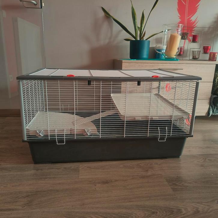 Hamster kooi, Dieren en Toebehoren, Knaagdieren en Konijnen | Hokken en Kooien, Zo goed als nieuw, Ophalen