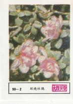 lucifermerk luciferetiket #192 bloemen (50-2), Collections, Articles de fumeurs, Briquets & Boîtes d'allumettes, Boîtes ou marques d'allumettes