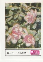lucifermerk luciferetiket #192 bloemen (50-2), Boîtes ou marques d'allumettes, Envoi, Neuf