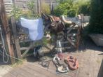 Paardenspullen te koop, Dieren en Toebehoren, Ophalen, Zo goed als nieuw, Overige soorten
