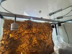 terarium voor slangen of andere reptielen., Dieren en Toebehoren, Overige soorten, Met terrarium