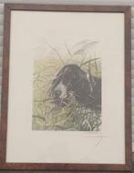 gravure chien avec proie signe leon danchin, Antiek en Kunst, Ophalen of Verzenden