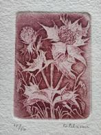 Genummerde kleuren ets - DISTEL, Ophalen of Verzenden