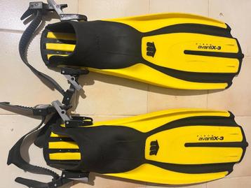 Duikvinnen Mares open water beschikbaar voor biedingen