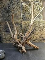 aquarium, RiverCatch, Plant(en), Steen of Hout, Nieuw, Ophalen of Verzenden