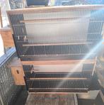 Kweekkooi kweekkooien vogelkooi, Enlèvement, Comme neuf, Cage à oiseaux
