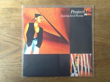 single split project feat. david westlake beschikbaar voor biedingen