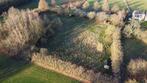 Weide / Boomgaard te koop (57 are), Immo, Terrains & Terrains à bâtir, Tielt-Winge, Ventes sans courtier, 1500 m² ou plus