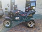 Kymco maxxer 300, Motoren, Quads en Trikes, 300 cc, 1 cilinder, 12 t/m 35 kW