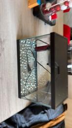 Aquariums avec pompe, Animaux & Accessoires, Poissons | Aquariums & Accessoires, Enlèvement ou Envoi, Comme neuf