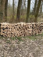 Bois de chauffage DUR pour hiver, 6 m³ of meer, Verzenden, Eikenhout, Blokken