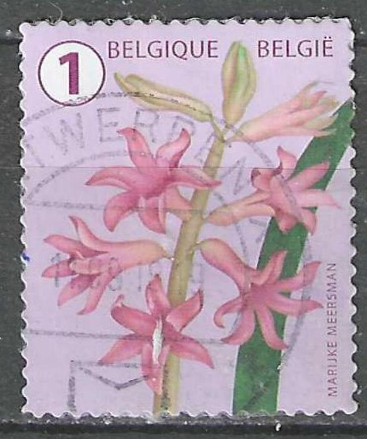 Belgie 2016 - Yvert 4627 /OBP 4656 - Hyacint (ST), Postzegels en Munten, Postzegels | Europa | België, Gestempeld, Gestempeld