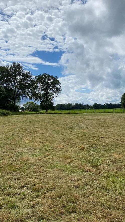 Weide nabij graspop Dessel, Diversen, Overige Diversen, Gebruikt, Ophalen