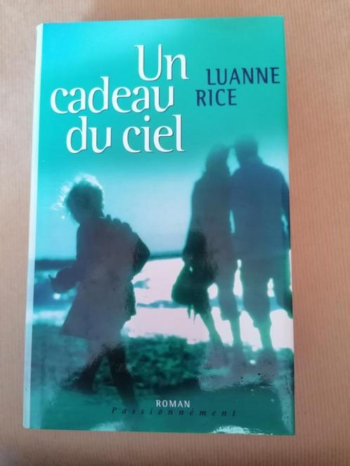 Luanne Rice  Un cadeau du ciel, Livres, Romans, Utilisé, Enlèvement ou Envoi