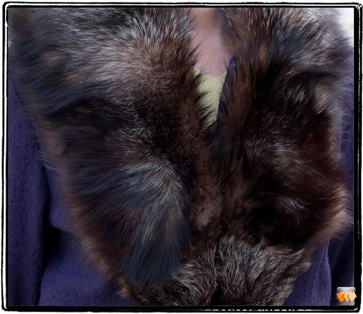 ZILVERVOS, Vêtements | Femmes, Vestes | Hiver, Porté, Taille 38/40 (M), Bleu, Enlèvement ou Envoi