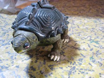 turtles beschikbaar voor biedingen
