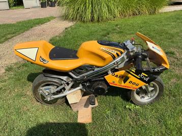 Pocketbike, Enlèvement, Utilisé, Pit Bike, Honda