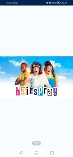 Billet Hairspray Musical Hasselt, Tickets & Billets, Théâtre | Comédie musicale