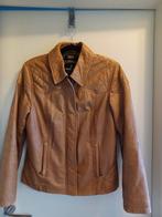 Damesjas leder MC gregor, Kleding | Dames, Ophalen, Zo goed als nieuw, Maat 38/40 (M)