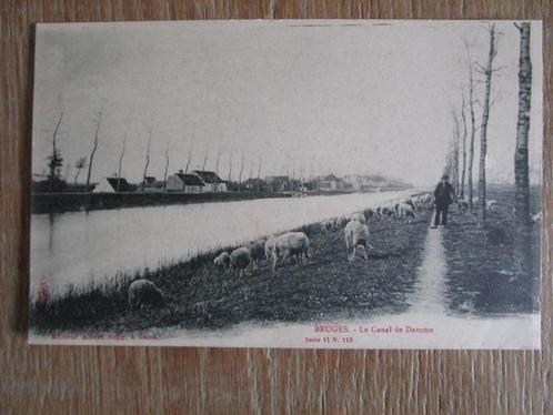 postkaarten Brugge-Wachtebeke-Roeselare-Lokeren-Oudenaarde, Verzamelen, Postkaarten | België, Gelopen, Voor 1920, Ophalen of Verzenden