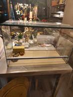 Terrarium, Dieren en Toebehoren, Ophalen