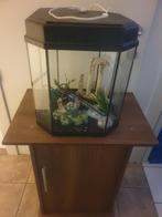 Te koop mooi ingericht octagonaal aquarium + meubel !!, Dieren en Toebehoren, Ophalen, Zo goed als nieuw