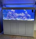 Zeewater aquarium Compleet, Utilisé, Enlèvement ou Envoi, Aquarium vide