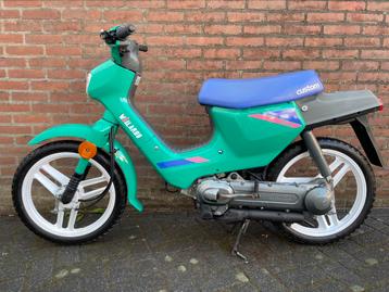 Honda wallaroo AB25 beschikbaar voor biedingen