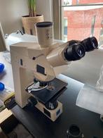 Uitstekende Zeiss Axioskop microscoop, Ophalen, Zo goed als nieuw, 400x tot 1000x, Stereomicroscoop