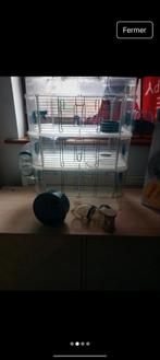 Cage hamster, Animaux & Accessoires, Enlèvement ou Envoi, Cage, Moins de 75 cm, Utilisé